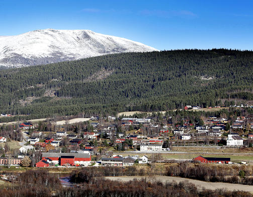 LOKALT PEDOMILJ�: Ti personer i Alvdal har blitt siktet for overgrep mot s�skenpar fra to familier. Foto: JACQUES HVISTENDAHL