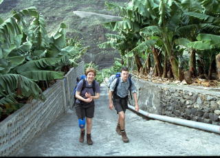 LA PALMA:  Fuktig og frodig som en regnskog er dette �ya for fotturister. Foto: GEIR B�LSTAD