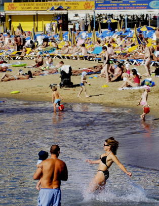 Her er de beste Kanari�yene