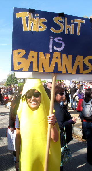 G�R BANANAS: Flere av demonstrantene hadde kledd seg ut. Foto: Randi Fuglehaug
