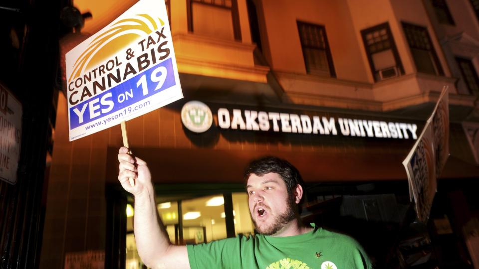 STEMTE OM MARIHUANA:  Daniel Costa var en av de frivillige som kjempet for legalisering av marihuana. Flertallet av Californias innbyggere sier imidelertid nei. Foto: AP Photo/Noah Berger/Scanpix