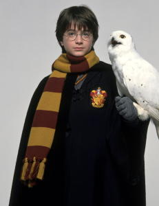 Betalte over 1,3 mill. for Potter-bok