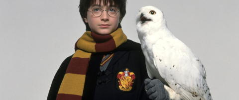 Betalte over 1,3 mill. for Potter-bok