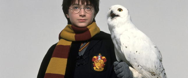 Betalte over 1,3 mill. for Potter-bok