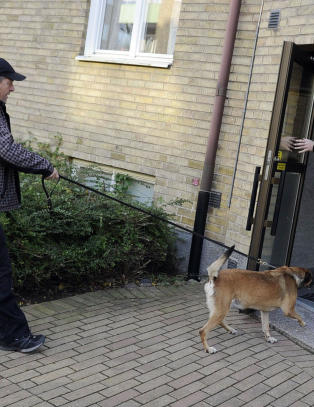 - Han er en stille og ensom ulv