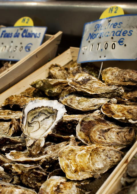 �STERS: Man kan plukke �sters selv og nyte p� stedet med et glass vin til. Foto: Mette M�ller