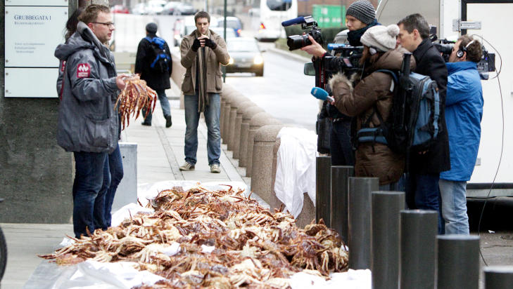 KREVER ENDRING: Milj�organisasjonen Neptune Network krever at fiskeriminister Lisbeth Berg-Hansen (Ap) endrer departementets politikk n�r det gjelder fisking av kongekrabber. Foto: Heiko Junge / Scanpix