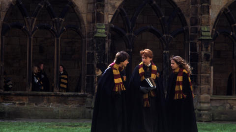 FLATERE: Columbus lyktes ikke like godt med film nummer to, �Harry Potter og Mysteriekammeret�, som er en flat gjengivelse av plottet i boken.