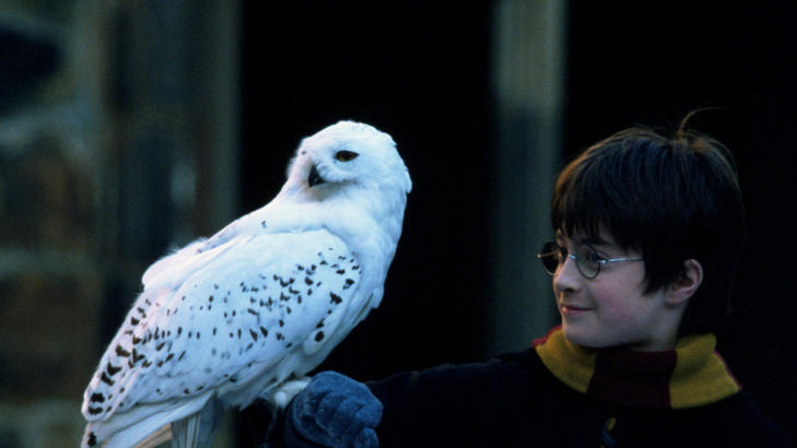 BEGYNNELSEN: Mange var skeptiske da Chris Columbus ble valgt til � regissere den f�rste filmen om Harry Potter. Men �Harry Potter og de vises stein� er lystig og detalrik, om enn noe glatt.