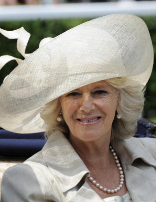 - Camilla kan bli dronning