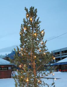 - Ikke n�dvendig � ta det styggeste treet