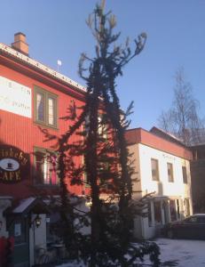 - Dette juletreet bl�ser  iallefall ikke ned