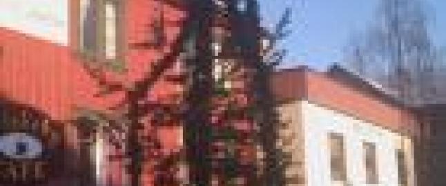 - Dette juletreet bl�ser  iallefall ikke ned