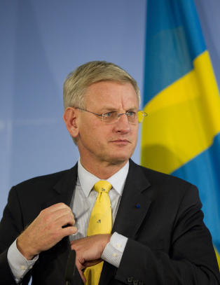 Bildt: - Kunne blitt en katastrofe