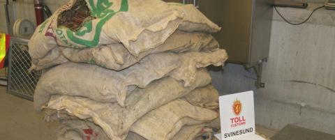 Rekordbeslag av khat p� Svinesund