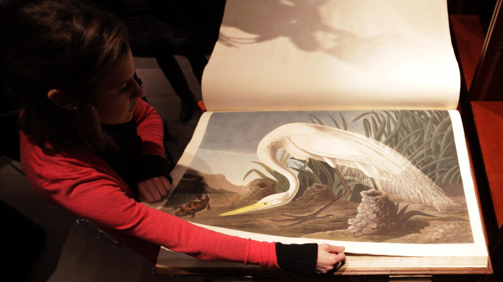 DYRT PAPIR: En ansatt ved ausjonshuset Sotheby's blar i John James Audubon's �Birds of America�, verdens dyreste bok.  Foto: SCANPIX /REUTERS/Suzanne Plunkett