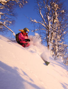Pudderalarmer i k� p� vestsida av fjellene