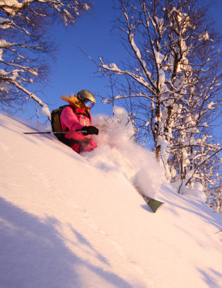 Pudderalarmer i k� p� vestsida av fjellene