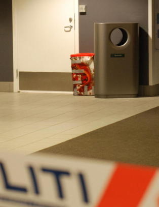 Ingen bombe i julepakka p� Torp lufthavn