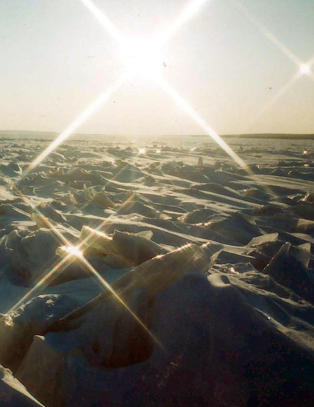 - Brrrrr.....