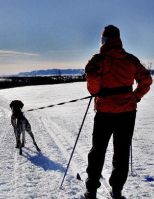 - Fjellfolket m� finne fram bobledressen og t�rr ved