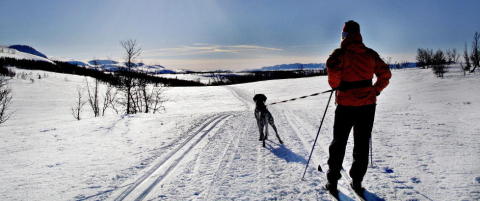 - Fjellfolket m� finne fram bobledressen og t�rr ved