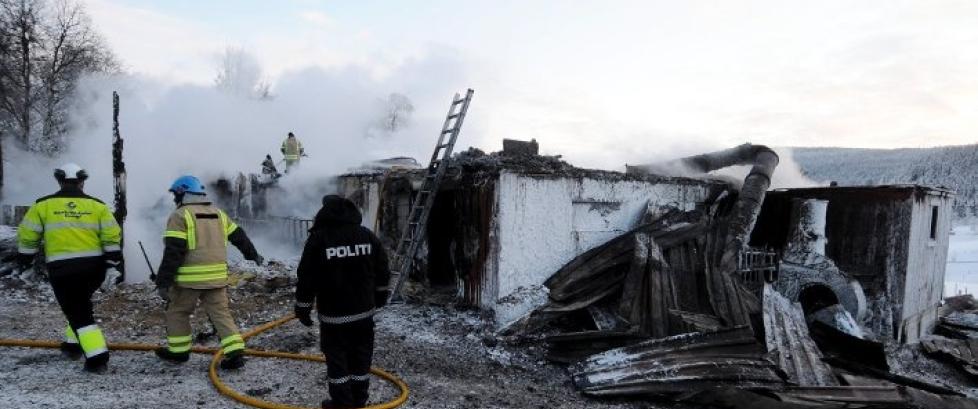 Tente på eks-damas hytte, låve og 45 dyr