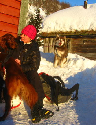 H�rer hunden Diesel (4) bjeffe fra fjellet