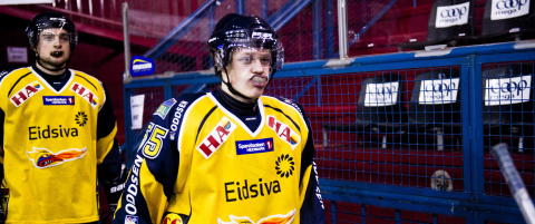 Storhamar fikk en p� tygga av lillebror