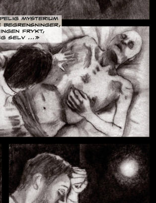 Denne boka er en seier for seriekunsten