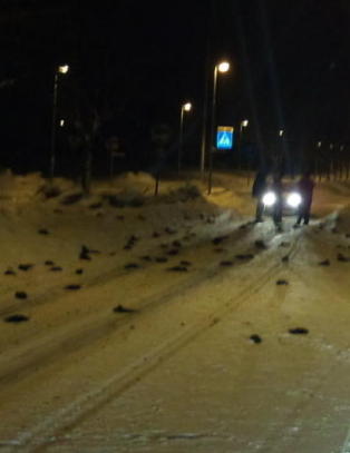 N� regner det d�de fugler i Sverige ogs�