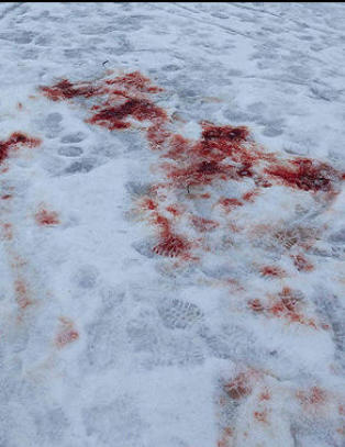 - Han stakk seg med kniv da politiet kom