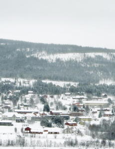 Forsvarer i Alvdal-saken politietterforskes