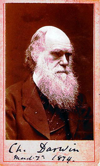DARWIN-UFO: Evolusjon i uteomjordiske verdner er mest sannsynligvis �darwinistisk i sin natur�, skriver Morris. Dermed vil liv i andre verdner mest sannsynligvis ha flere sentrale likhetstrekk med livet p� jorden - spesielt hvis liv kommer fra jordlignende verdner som har like biologiske molekyler som oss.
