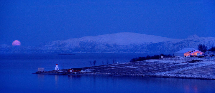 M�RKETID: Ingrid og Johan Brun tok Hurtigruten til Kirkenes og tilbake i jula. De ble fascinert av det lyse i det m�rke. Foto: JOHAN BRUN