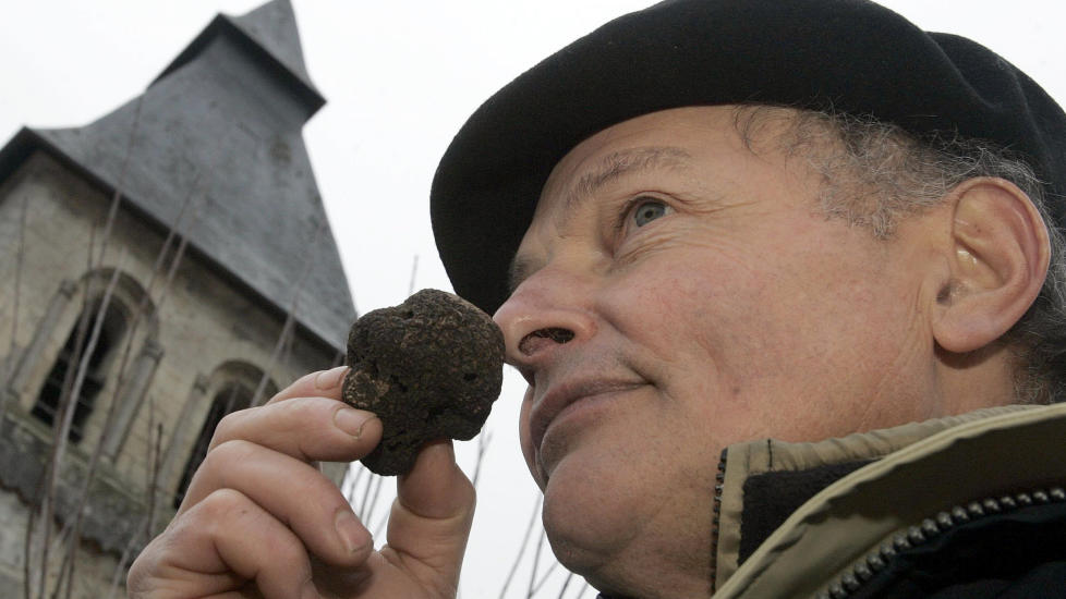 MATKRIM: Martin Walkers f�rste krim foreg�r i P�rigord-omr�det i Frankrike, som blant annet er kjent for sine sorte tr�fler. Ilustrasjonsfoto: SCANPIX / REUTERS/Regis Duvignau