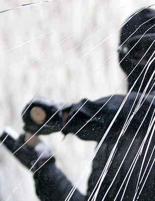 Det norske film�ret 2010