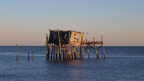 EKTE FLORIDA: �Bryllupssuiten� i Cedar Key. Den overlever neppe en orkan til.  Foto: JOHN-ARNE GUNDERSEN