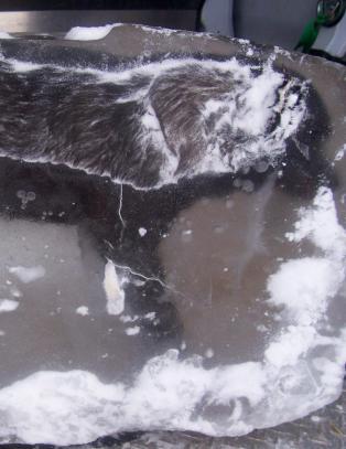 Fant d�d hund nedfrosset i en isblokk p� plenen