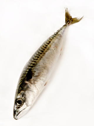 FLERUMETTET FETT: Omega-3 finner vi blant annet i fet fisk.
Foto: OLE C. H. THOMASSEN/Dagbladet