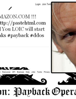 WikiLeaks-tilhengere pågrepet for dataangrep