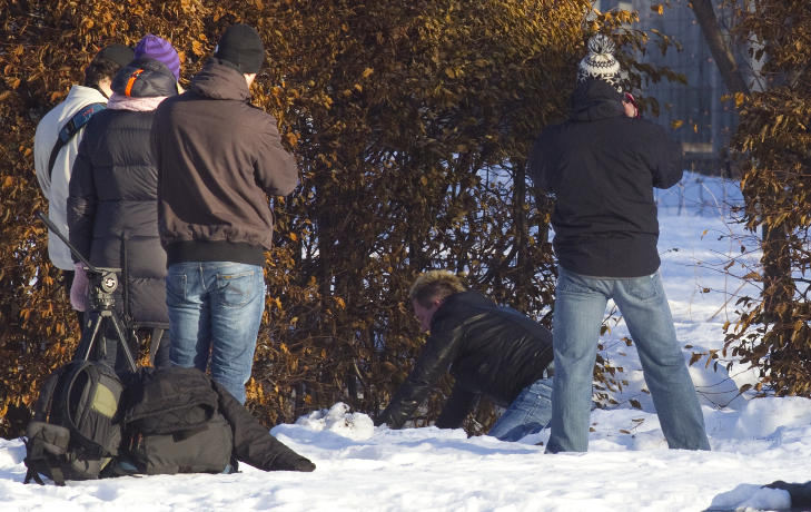 VISTE HVORDAN:Knut (47) viste hvordan han ble skutt i Badeparken. Her er han liggende p� bakken. Foto:Torbj�rn Berg / Dagbladet