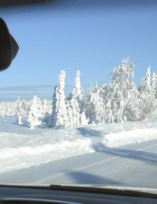 Polarsirkelen kyst til kyst