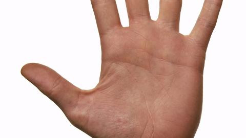DIGIT RATIO: Forholdet mellom pekefinger og ringfinger avgj�r digit ratio. Illustrasjonsfoto: www.colourbox.com