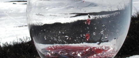 Beviset er p�fallende ofte at de eldre f�r ta seg et glass vin
