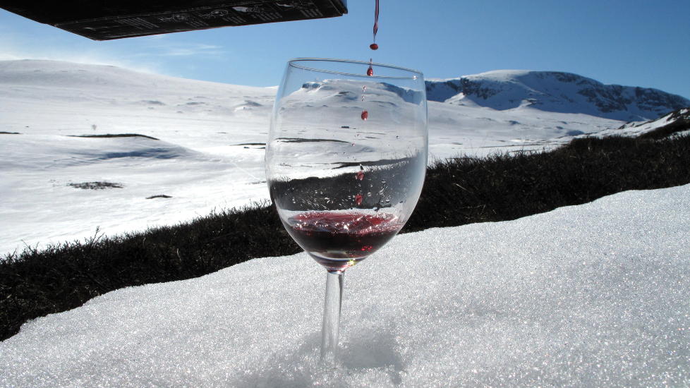 Geilo, 20090408:   P�ske. R�dvin. Vinglass. Vin. Sn�. Fjell. Sol. 
Foto: Geir B�lstad / Dagbladet.