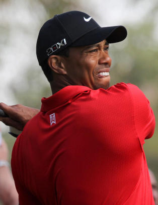 Tiger b�telegges for spytting