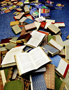 Litteraturpolitisk molotovcocktail