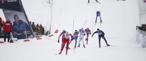 Petter felte alle