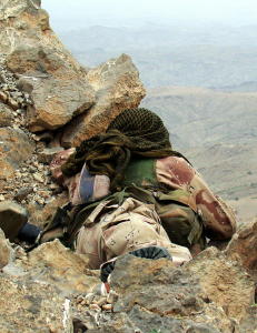 Forsvaret frifinner seg selv